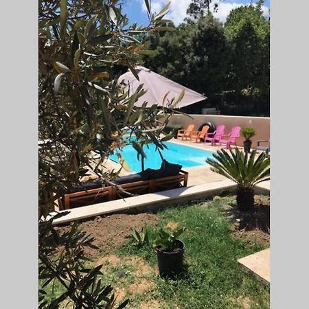 Logement Attenant A Une Villa T2 Avec Terrasse . Besse-sur-Issole Exteriör bild